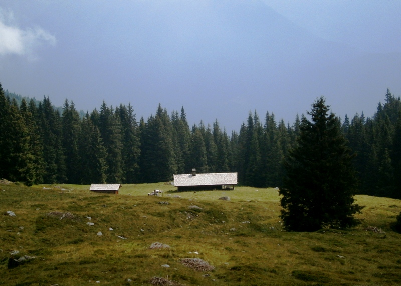 Scopri tutti i segreti della montagna con gli accompagnatori Mountain friends