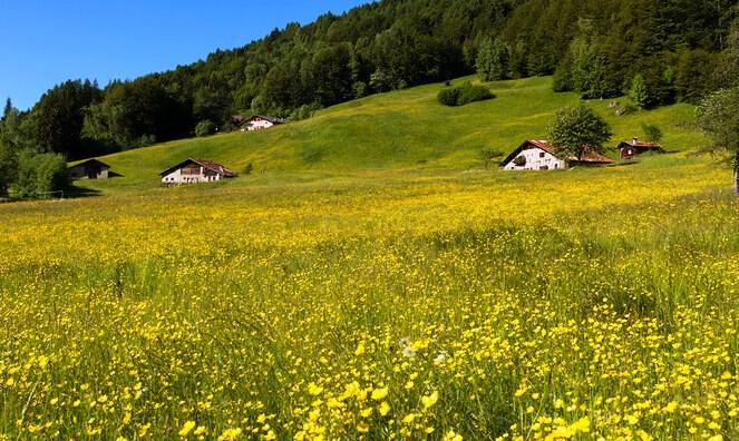 boniprati_valle_del_chiese