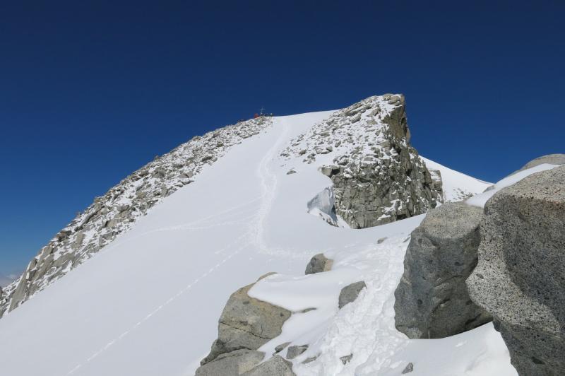 la cima Presanella