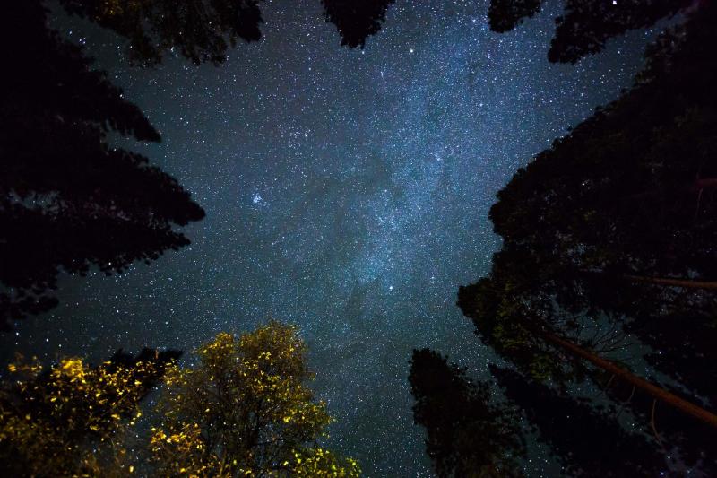 escursioni_notturne_trentino_guide_alpine_madonna_di_campiglio