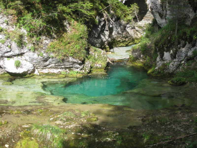 sentiero forra guide alpine pinzolo madonna di campiglio