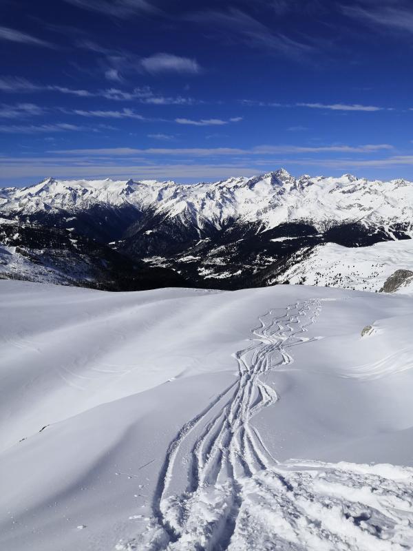 freeride skiarea campiglio (1)