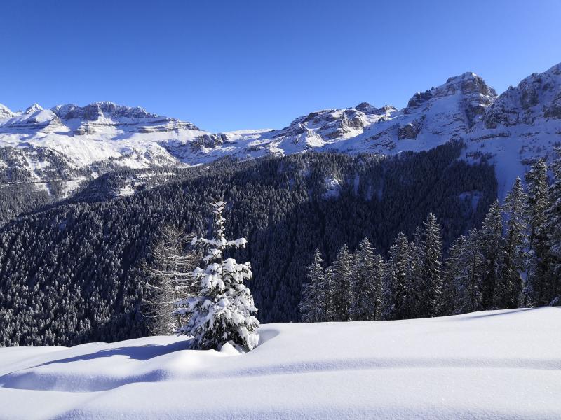 freeride skiarea campiglio (3)