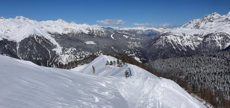 freeride skiarea campiglio (4)