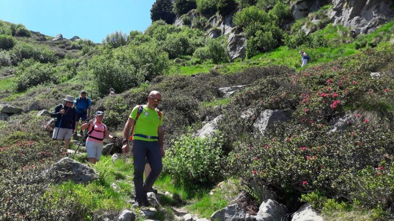 grande trek adamello brenta guide alpine accompagnatorimountain friends (2)