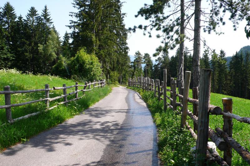 hofer weg trekking guide accompagnatori media montagna pinzolo (2)