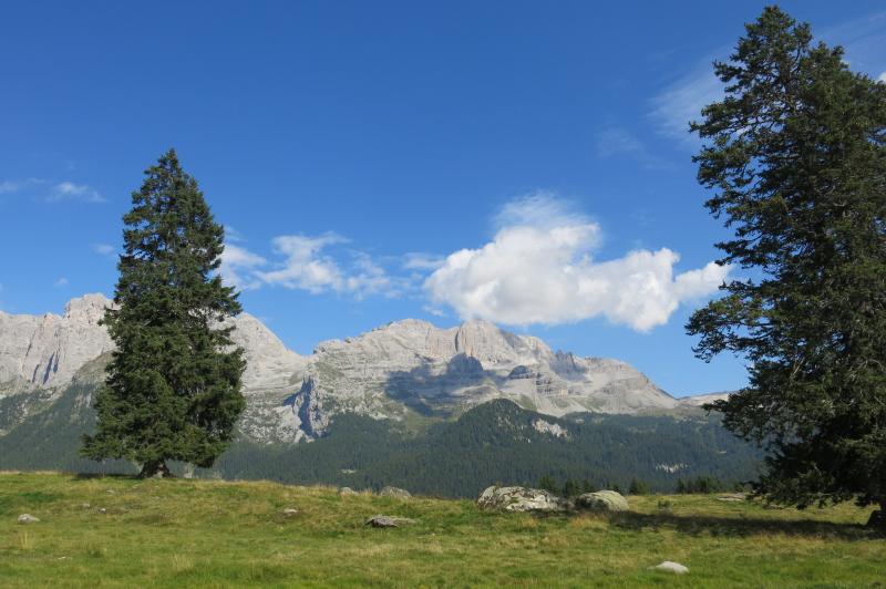 lago malghette guide alpine accompagnatori di media montagna pinzolo (1)