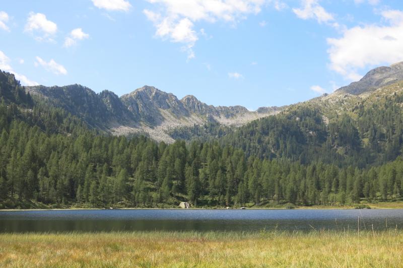 lago malghette guide alpine accompagnatori di media montagna pinzolo (3)
