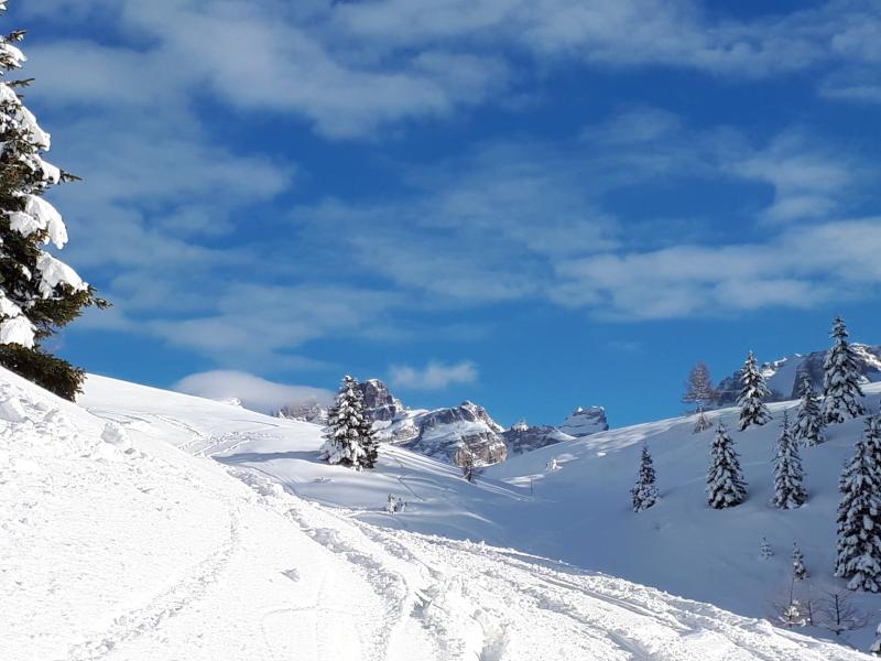 Sci alpinismo