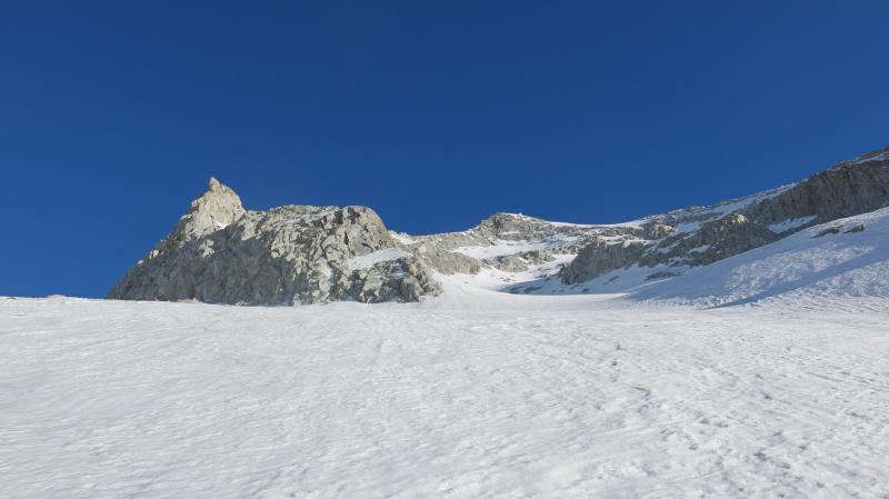 presanella sci alpinismo (6)