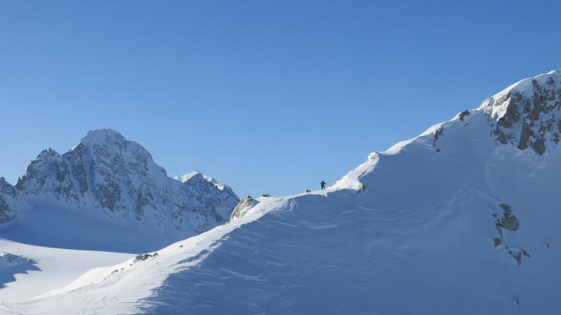 sci alpinismo adamello (4)