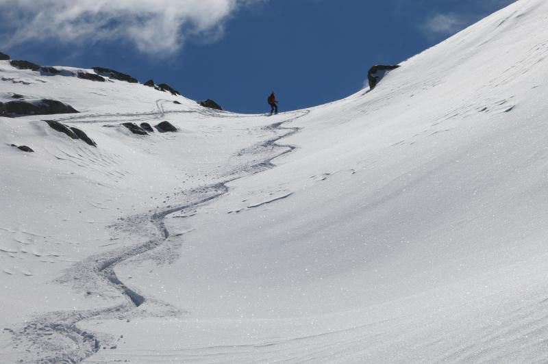 sci alpinismo cima serodoli guide alpine pinzolo (5)