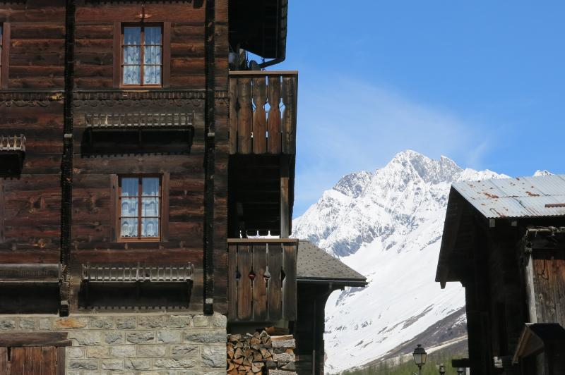 sci alpinismo oberland bernese (8)